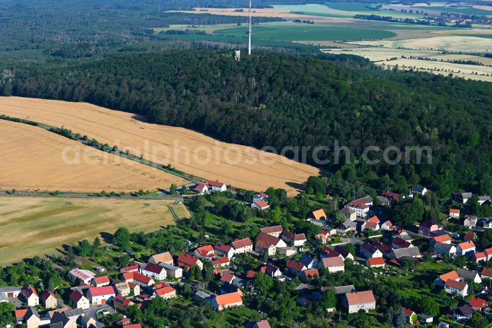 Aerial image Collm - Village - view on the edge of forested areas in Collm in the state Saxony, Germany