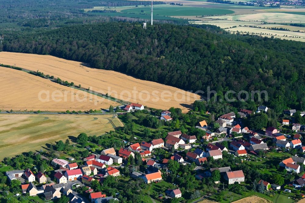 Aerial photograph Collm - Village - view on the edge of forested areas in Collm in the state Saxony, Germany