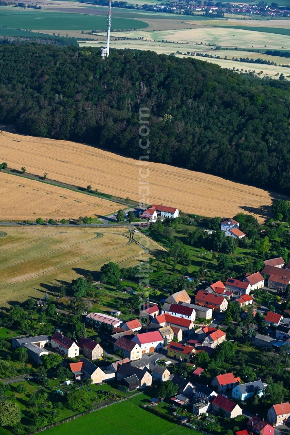 Collm from the bird's eye view: Village - view on the edge of forested areas in Collm in the state Saxony, Germany