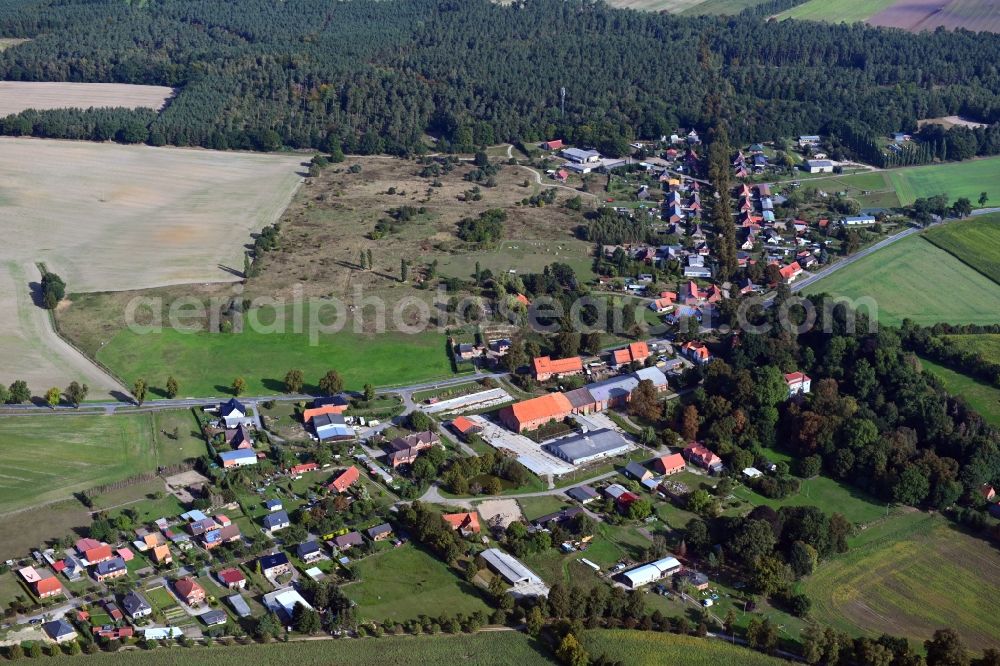 Dersenow from the bird's eye view: Village - view on the edge of forested areas in Dersenow in the state Mecklenburg - Western Pomerania, Germany