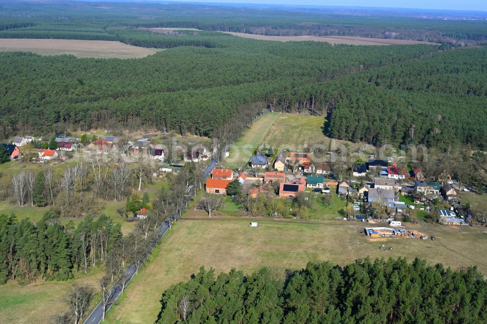 Aerial image Dierberg - Village - view on the edge of forested areas in Dierberg in the state Brandenburg, Germany