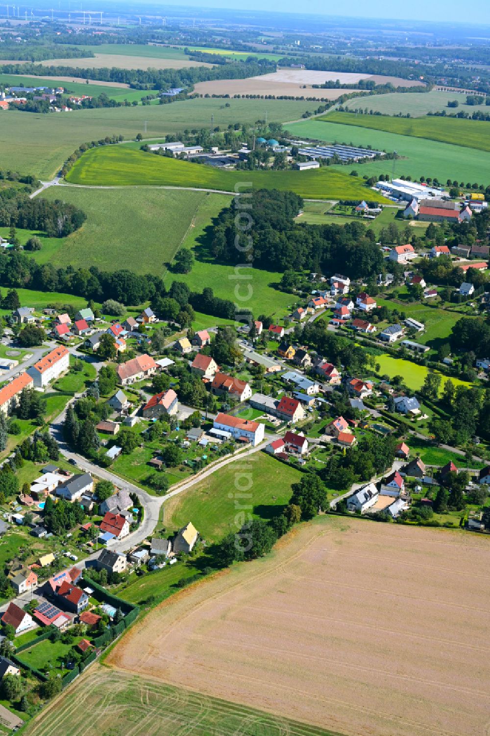 Aerial photograph Dölzig - Village - view on the edge of forested areas in Dölzig in the state Thuringia, Germany