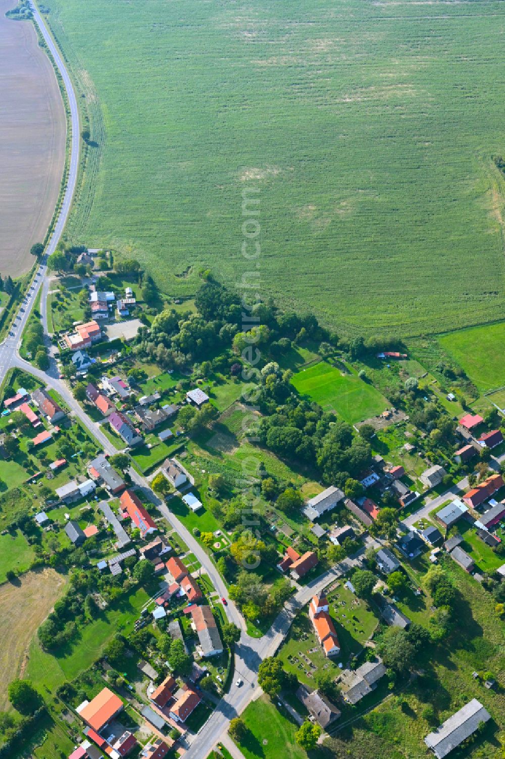 Felchow from the bird's eye view: Village - view on the edge of forested areas in Felchow in the state Brandenburg, Germany