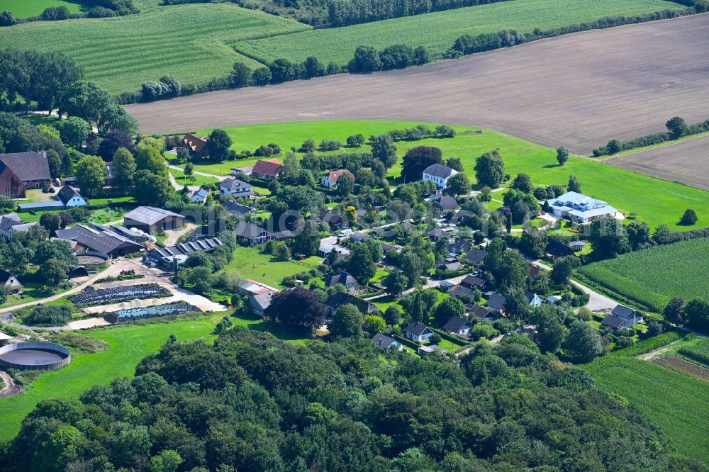 Aerial image Geel - Village - view on the edge of forested areas in Geel in the state Schleswig-Holstein, Germany