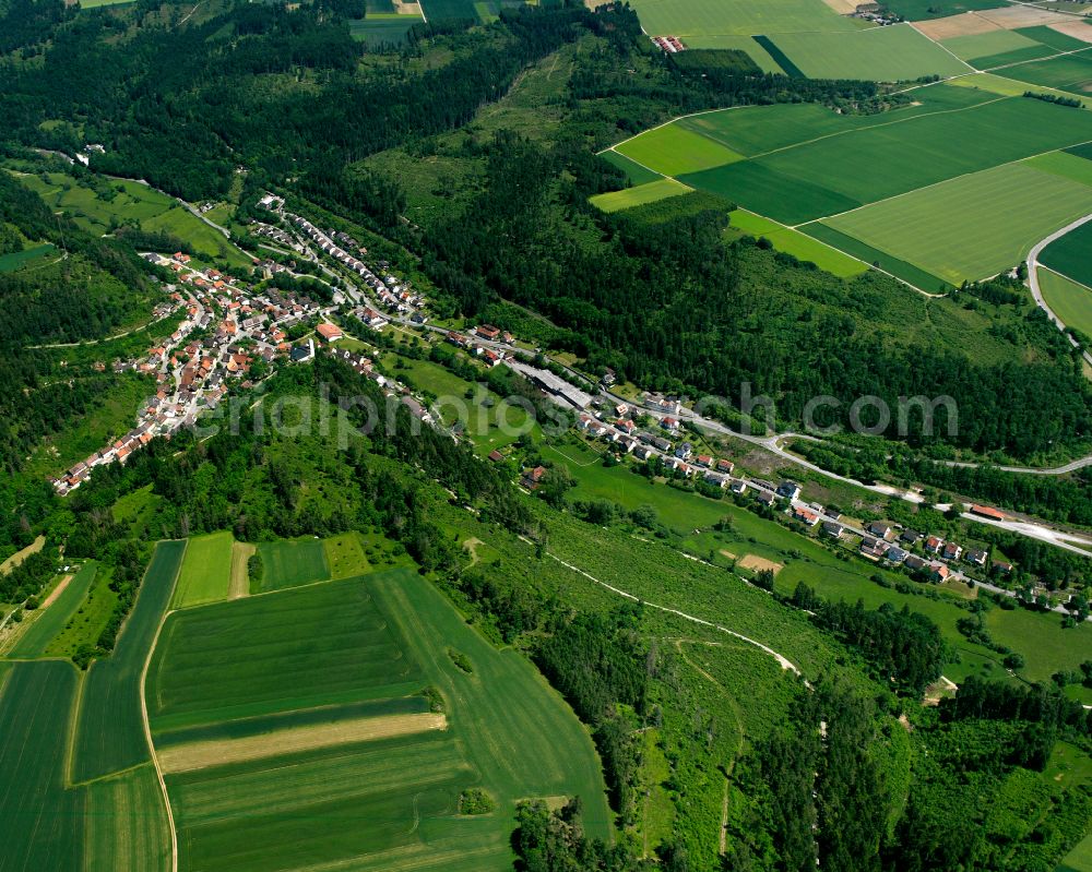 Gündringen from above - Village - view on the edge of forested areas in Gündringen in the state Baden-Wuerttemberg, Germany