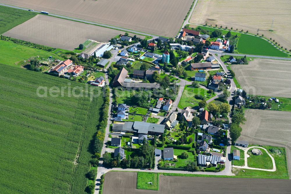 Günthersdorf from above - Village - view on the edge of forested areas in Günthersdorf in the state Saxony, Germany
