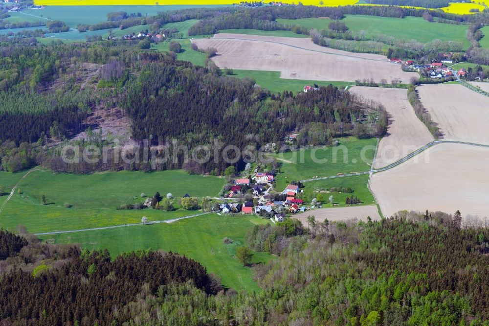 Aerial image Großkunitz - Village - view on the edge of forested areas in Grosskunitz in the state Saxony, Germany