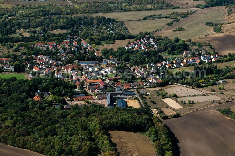 Halle (Saale) from the bird's eye view: Village - view on the edge of forested areas in Halle (Saale) in the state Saxony-Anhalt, Germany