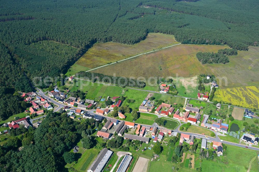 Aerial image Haseloff-Grabow - Village - view on the edge of forested areas in Haseloff-Grabow in the state Brandenburg, Germany
