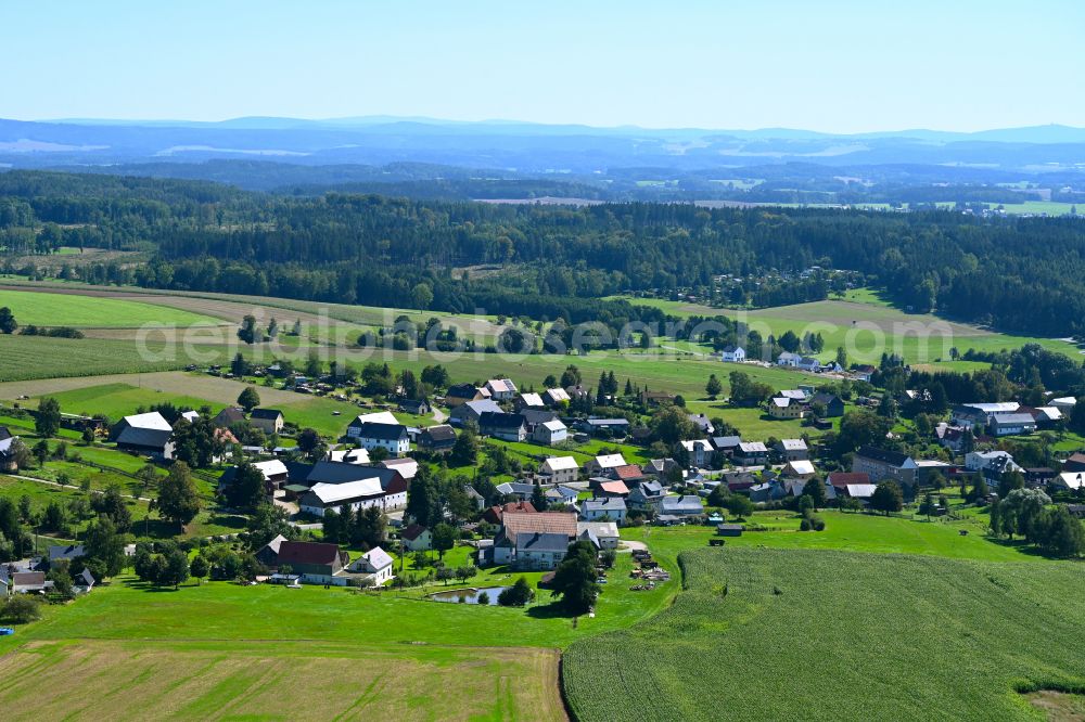 Hauptmannsgrün from above - Village - view on the edge of forested areas in Hauptmannsgrün in the state Saxony, Germany