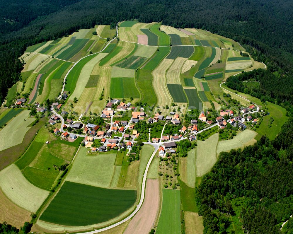 Aerial image Hornberg - Village - view on the edge of forested areas in Hornberg in the state Baden-Wuerttemberg, Germany