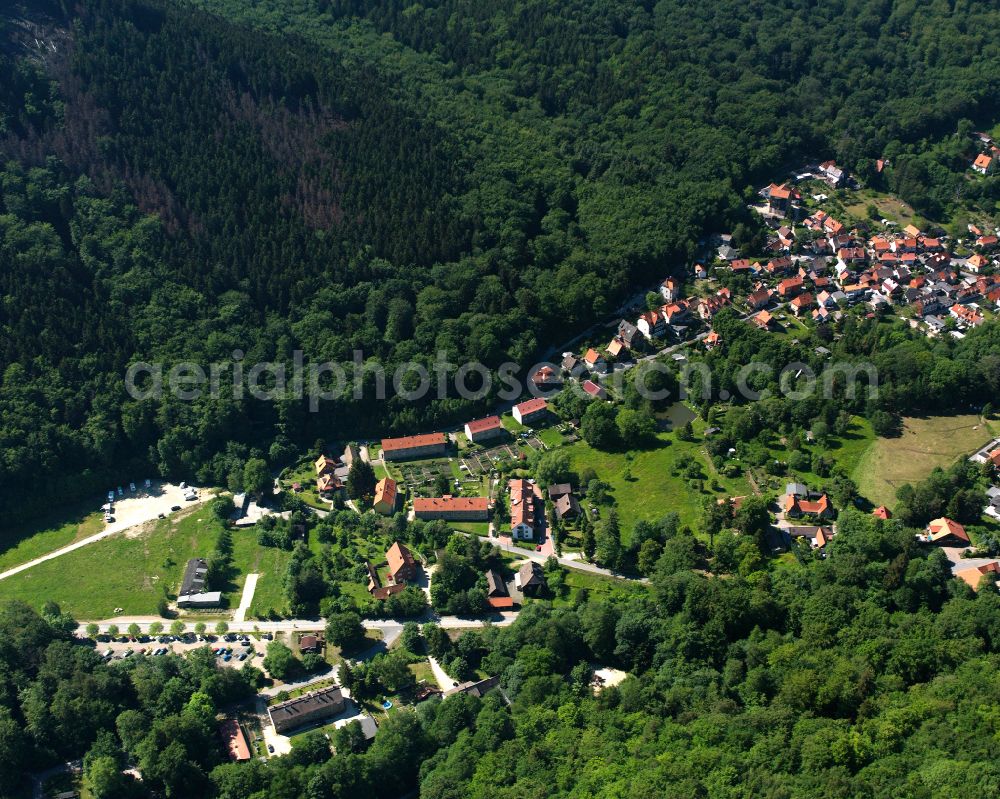 Aerial photograph Ilsenburg (Harz) - Village - view on the edge of forested areas in Ilsenburg (Harz) in the Harz in the state Saxony-Anhalt, Germany