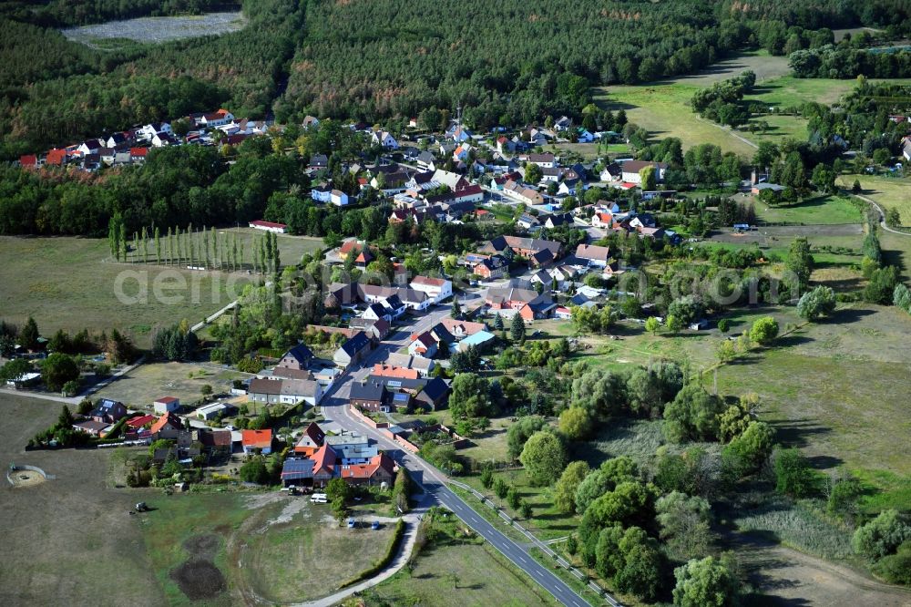 Jüdenberg from above - Village - view on the edge of forested areas in Juedenberg in the state Saxony-Anhalt, Germany