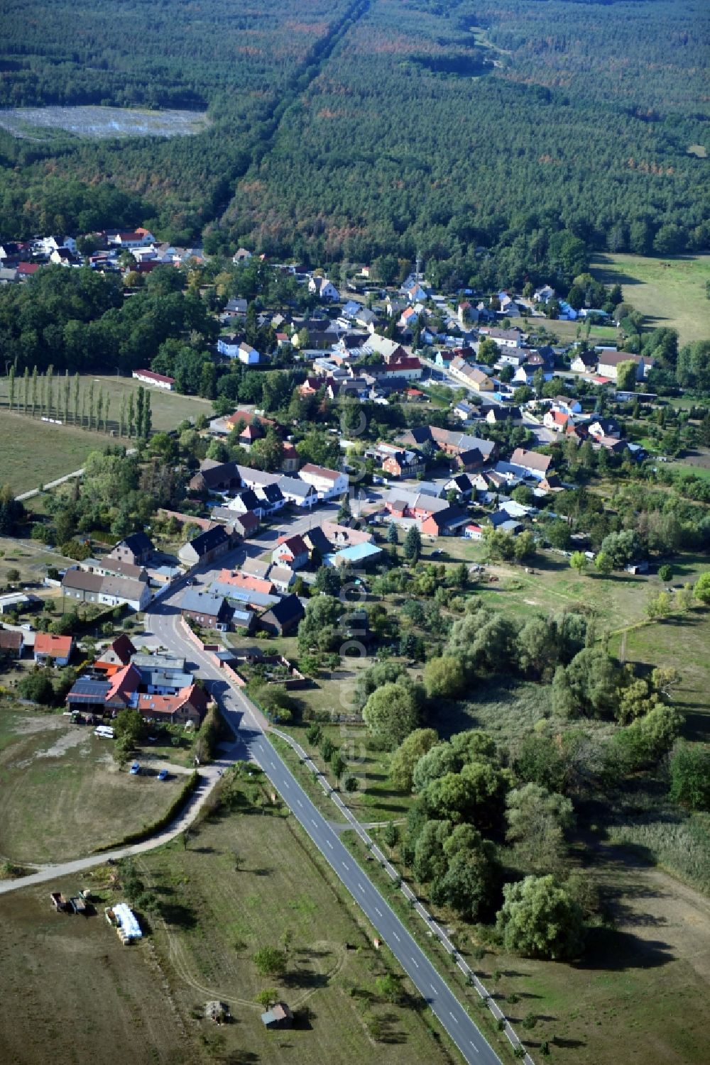 Jüdenberg from the bird's eye view: Village - view on the edge of forested areas in Juedenberg in the state Saxony-Anhalt, Germany
