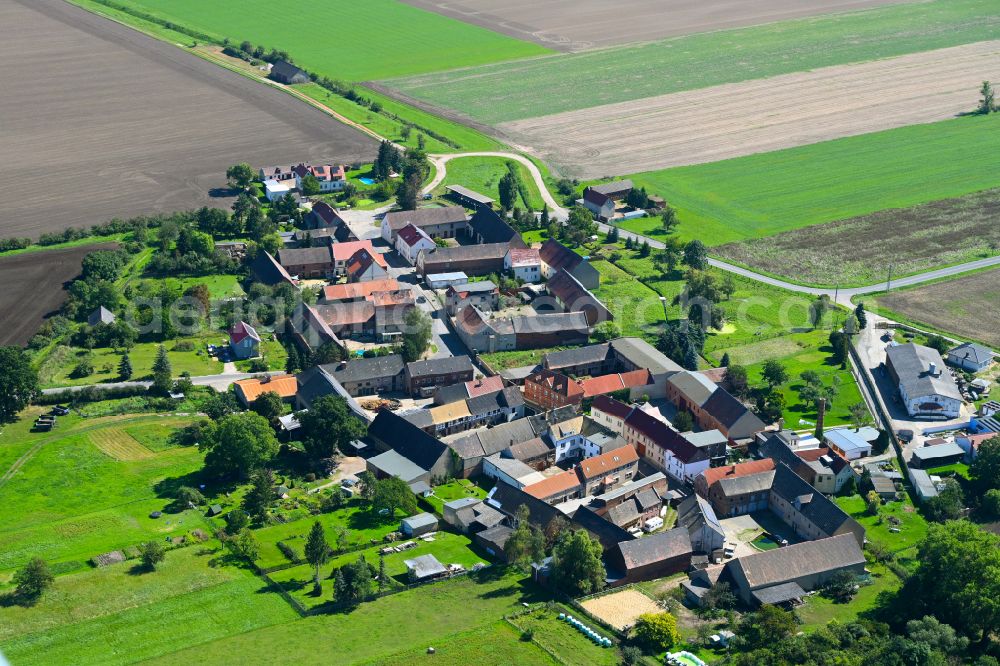 Aerial image Kitzen - Village - view on the edge of forested areas in Kitzen in the state Saxony, Germany