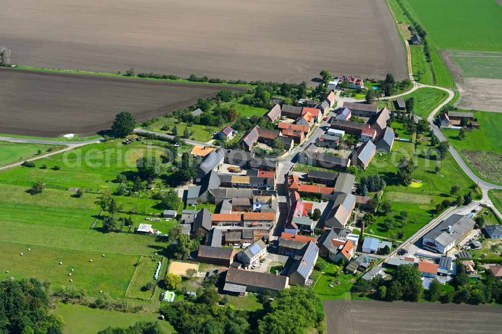 Kitzen from above - Village - view on the edge of forested areas in Kitzen in the state Saxony, Germany