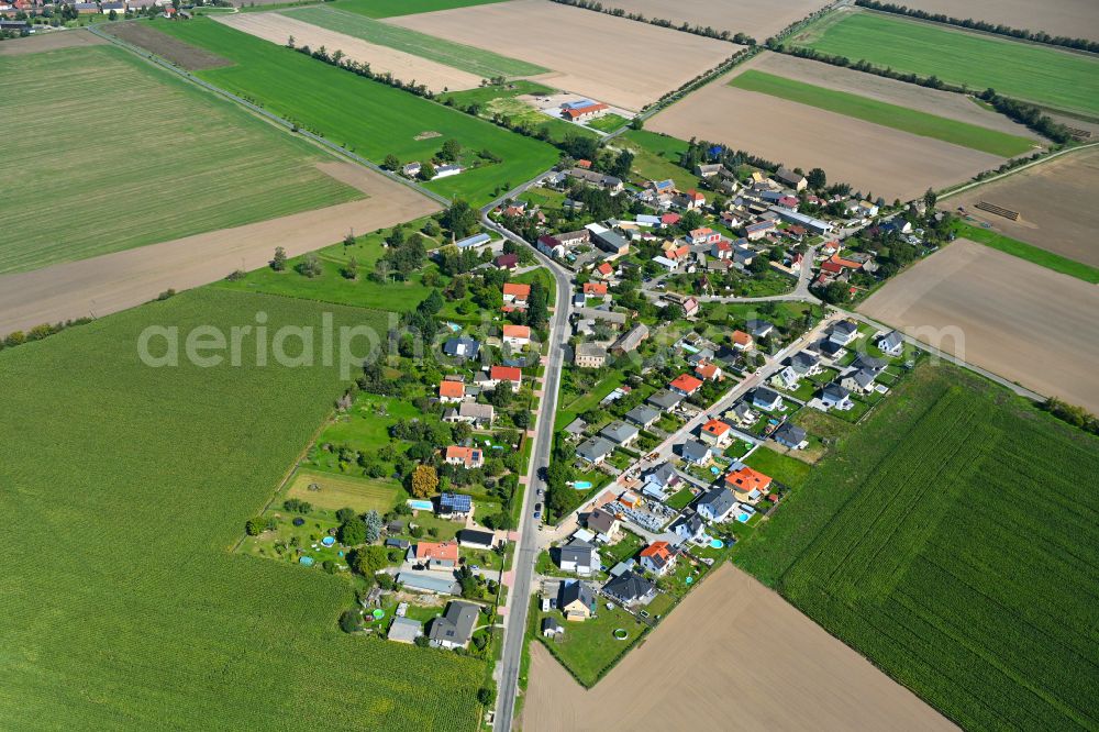 Kitzen from above - Village - view on the edge of forested areas in Kitzen in the state Saxony, Germany