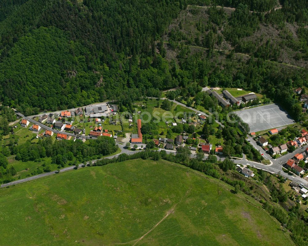 Lautenthal from the bird's eye view: Village - view on the edge of forested areas in Lautenthal in the state Lower Saxony, Germany