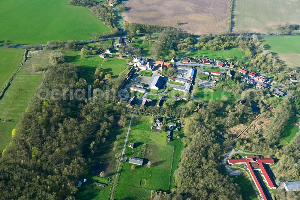Liebenberg from the bird's eye view: Village - view on the edge of forested areas in Liebenberg Loewenberger Land in the state Brandenburg, Germany