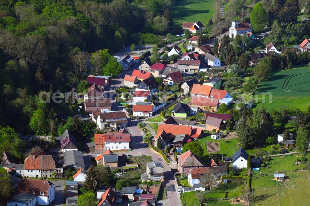 Aerial photograph Möllendorf - Village - view on the edge of forested areas in Moellendorf in the state Saxony-Anhalt, Germany