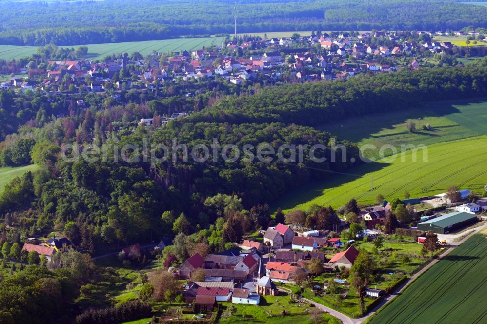 Möllendorf from the bird's eye view: Village - view on the edge of forested areas in Moellendorf in the state Saxony-Anhalt, Germany