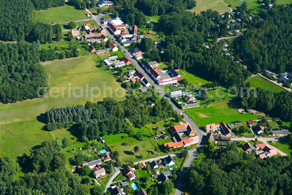 Aerial image Möllensdorf - Village - view on the edge of forested areas in Möllensdorf in the state Saxony-Anhalt, Germany