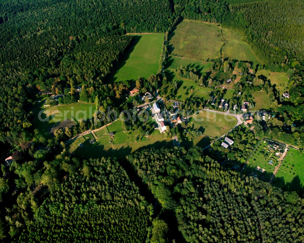 Aerial photograph Mohlsdorf - Village - view on the edge of forested areas in Mohlsdorf in the state Thuringia, Germany