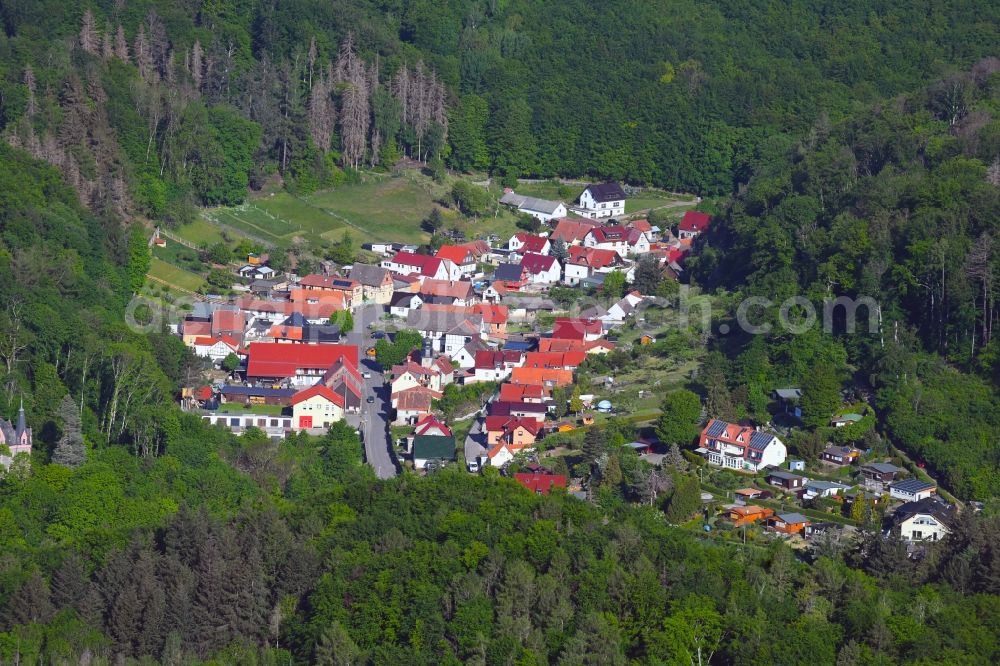 Morungen from the bird's eye view: Village - view on the edge of forested areas in Morungen in the state Saxony-Anhalt, Germany