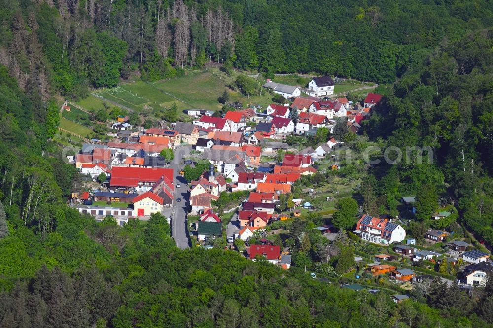 Aerial image Morungen - Village - view on the edge of forested areas in Morungen in the state Saxony-Anhalt, Germany