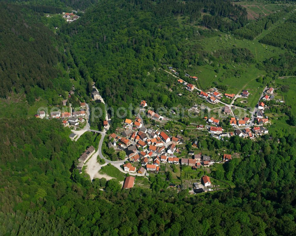 Aerial photograph Neuwerk - Village - view on the edge of forested areas in Neuwerk in the state Saxony-Anhalt, Germany