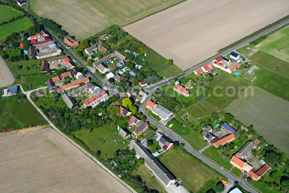 Niederwerbig from above - Village - view on the edge of forested areas in Niederwerbig in the state Brandenburg, Germany