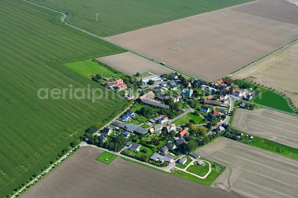 Aerial image Priesteblich - Village - view on the edge of forested areas in Priesteblich in the state Saxony, Germany