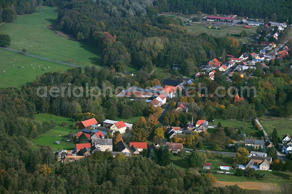 Rabenstein/Fläming from the bird's eye view: Village - view on the edge of forested areas in Rabenstein/Flaeming in the state Brandenburg, Germany
