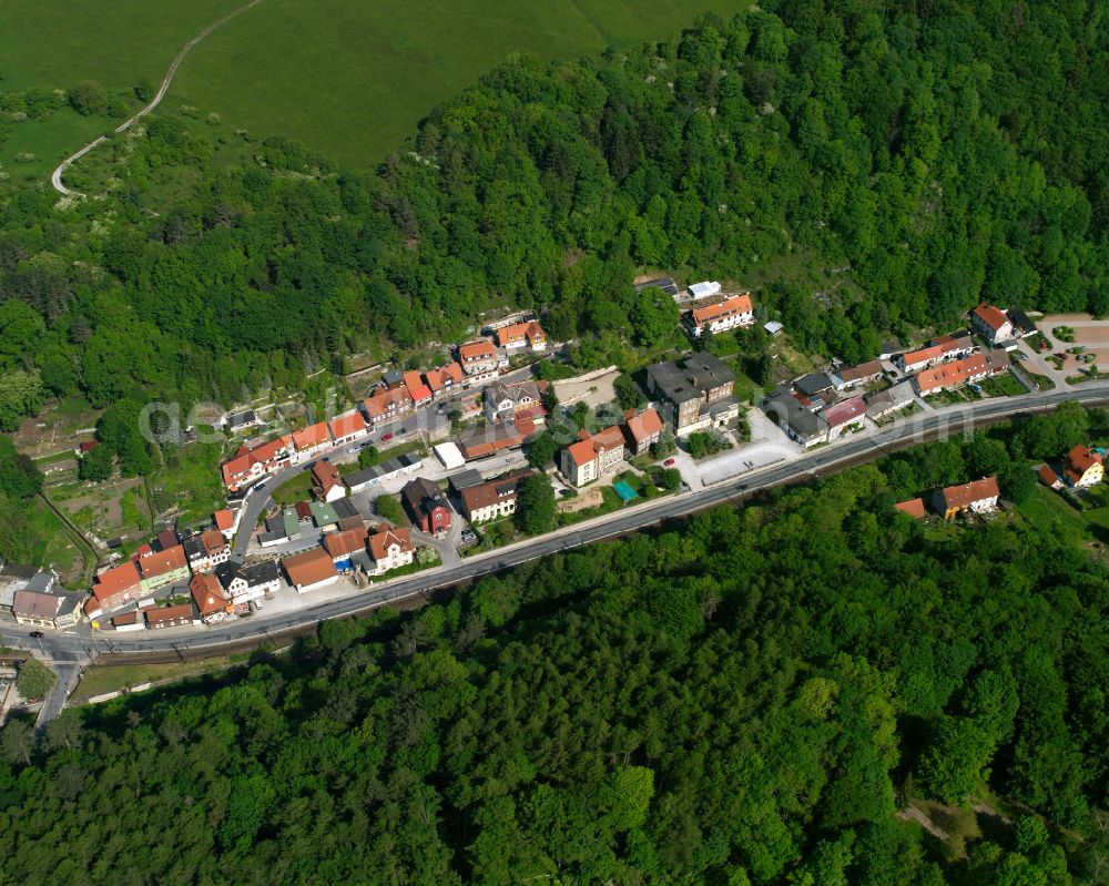 Aerial photograph Rübeland - Village - view on the edge of forested areas in Rübeland in the state Saxony-Anhalt, Germany