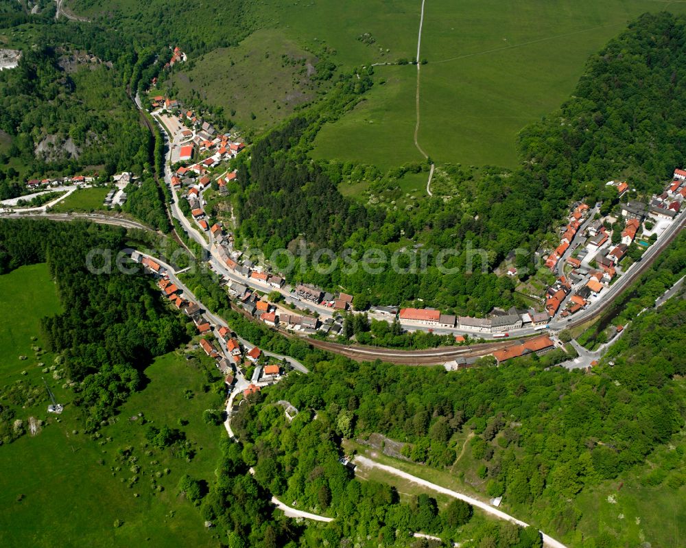 Aerial photograph Rübeland - Village - view on the edge of forested areas in Rübeland in the state Saxony-Anhalt, Germany