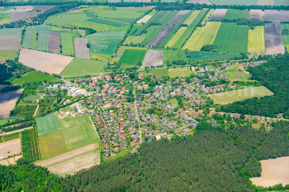 Aerial photograph Rullstorf - Village - view on the edge of forested areas in Rullstorf in the state Lower Saxony, Germany
