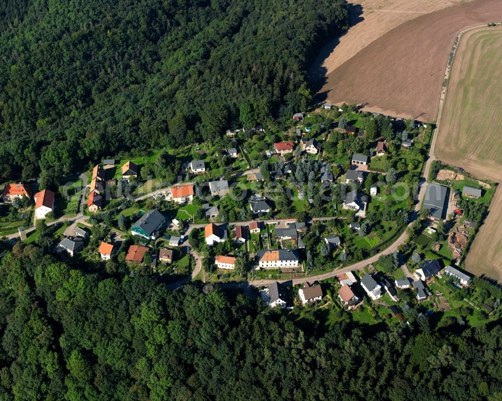 Sachsenburg from the bird's eye view: Village - view on the edge of forested areas in Sachsenburg in the state Saxony, Germany