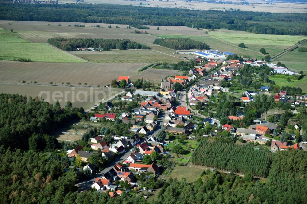 Schleesen from the bird's eye view: Village - view on the edge of forested areas in Schleesen in the state Saxony-Anhalt, Germany