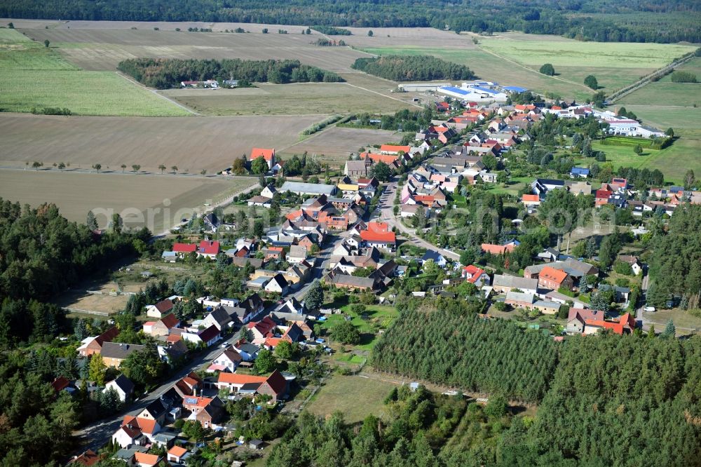 Aerial image Schleesen - Village - view on the edge of forested areas in Schleesen in the state Saxony-Anhalt, Germany