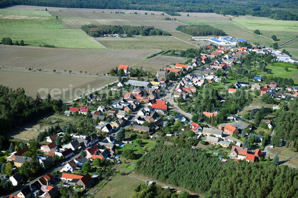 Aerial photograph Schleesen - Village - view on the edge of forested areas in Schleesen in the state Saxony-Anhalt, Germany