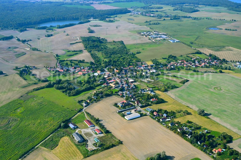 Schmargendorf from the bird's eye view: Village - view on the edge of forested areas in Schmargendorf in the state Brandenburg, Germany