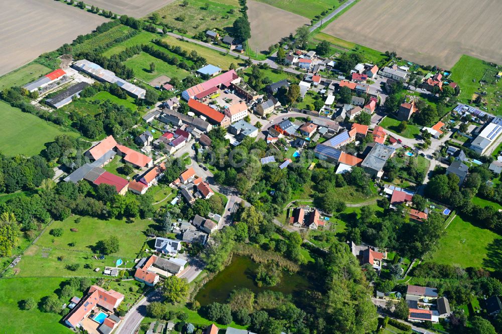 Schwerz from the bird's eye view: Village - view on the edge of forested areas in Schwerz in the state Saxony-Anhalt, Germany