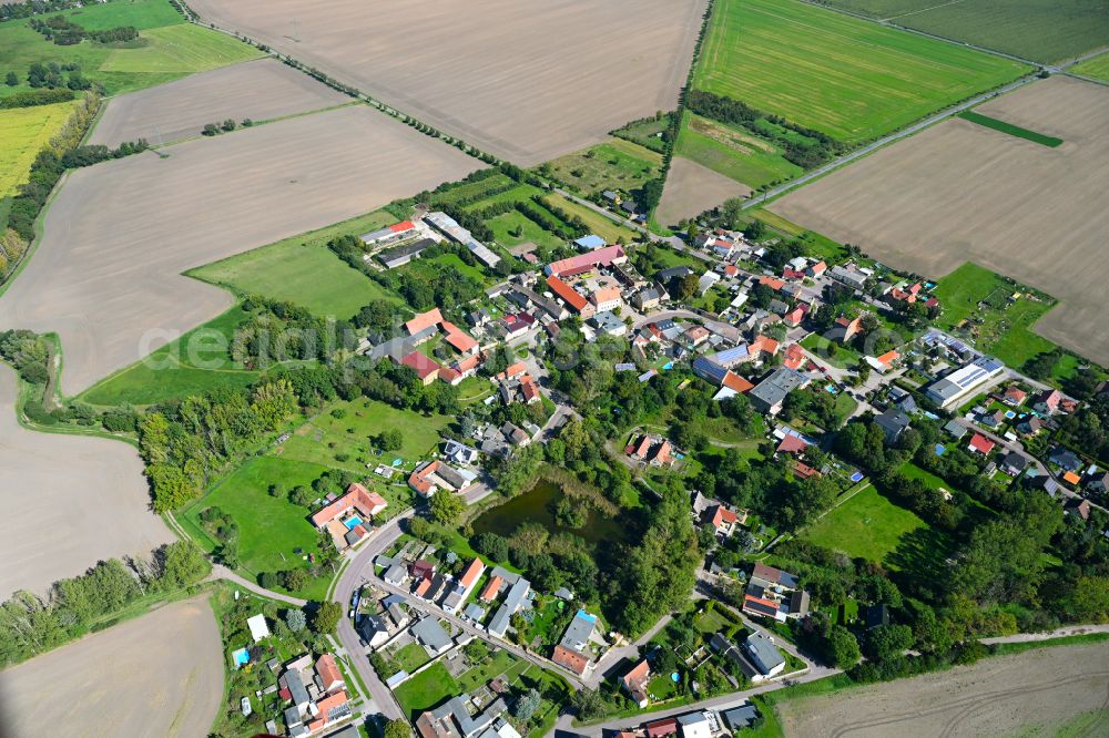 Aerial image Schwerz - Village - view on the edge of forested areas in Schwerz in the state Saxony-Anhalt, Germany