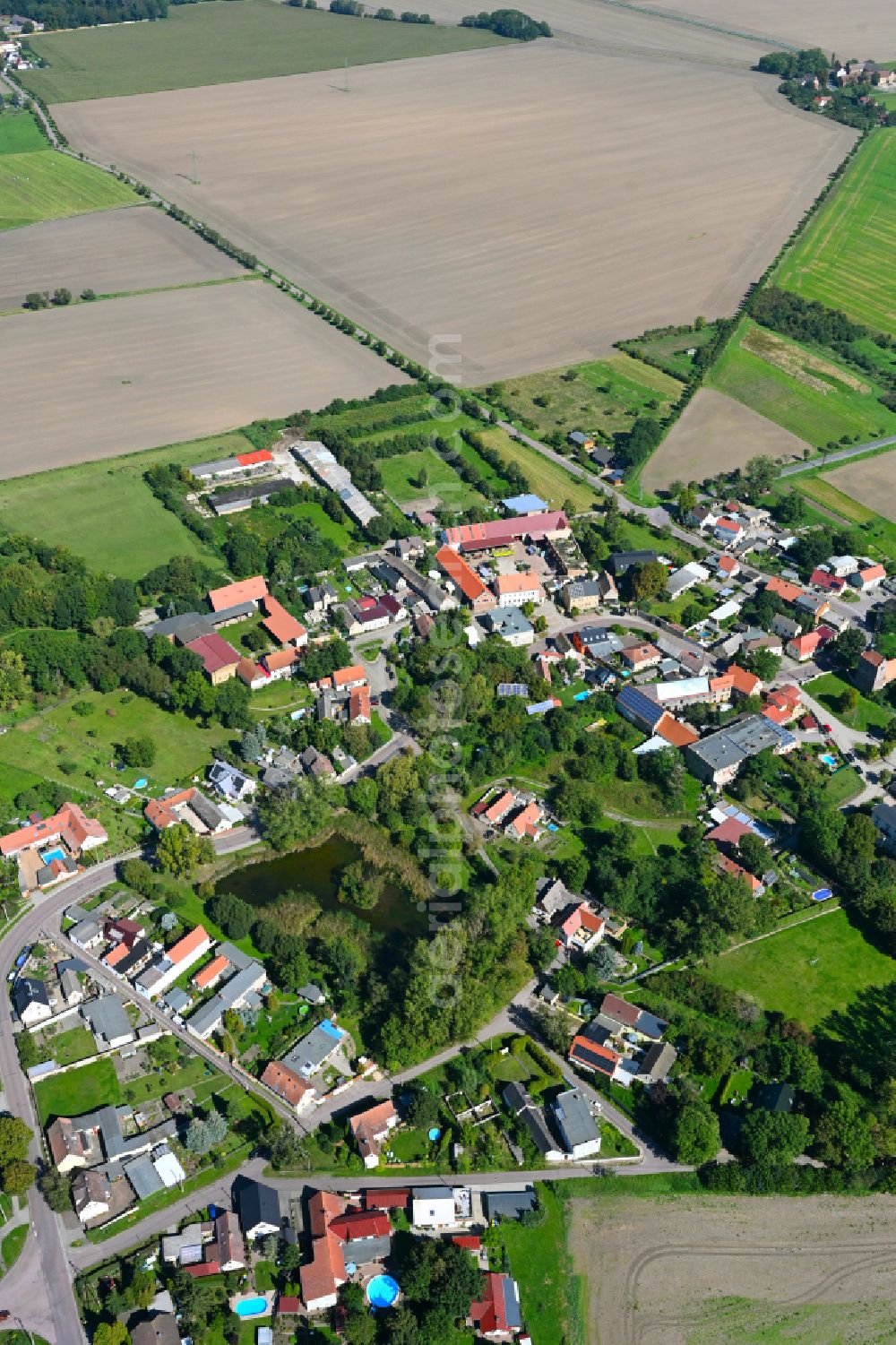 Aerial photograph Schwerz - Village - view on the edge of forested areas in Schwerz in the state Saxony-Anhalt, Germany