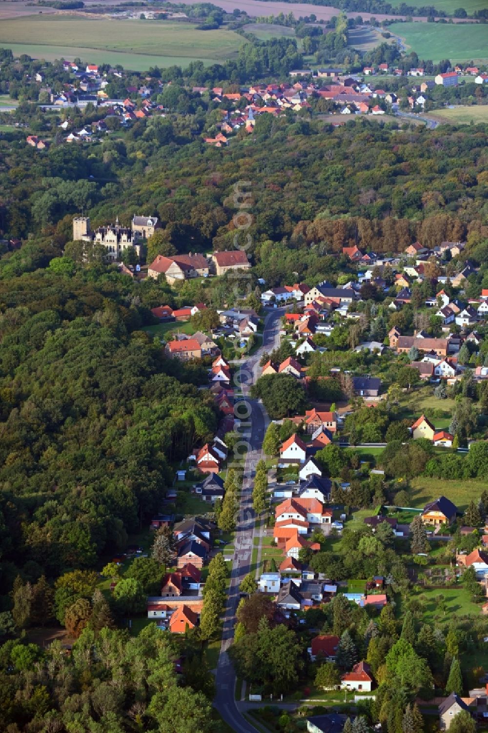 Sommerschenburg from the bird's eye view: Village - view on the edge of forested areas in Sommerschenburg in the state Saxony-Anhalt, Germany