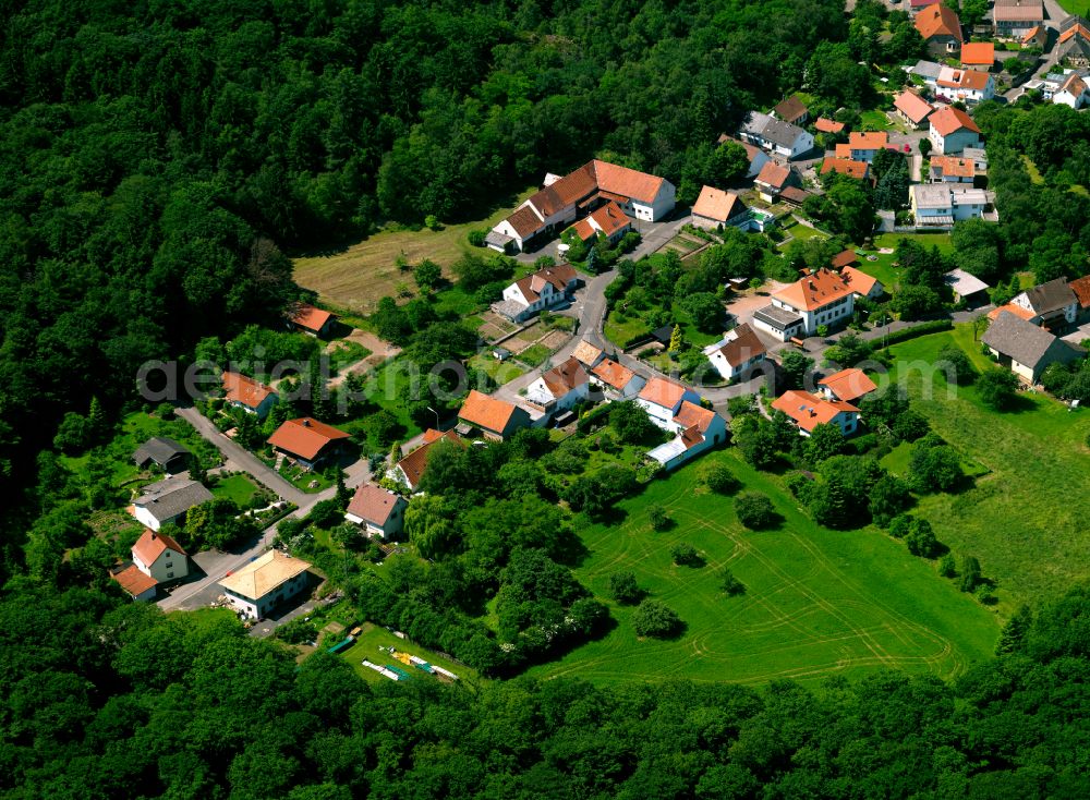 Aerial photograph Stahlberg - Village - view on the edge of forested areas in Stahlberg in the state Rhineland-Palatinate, Germany