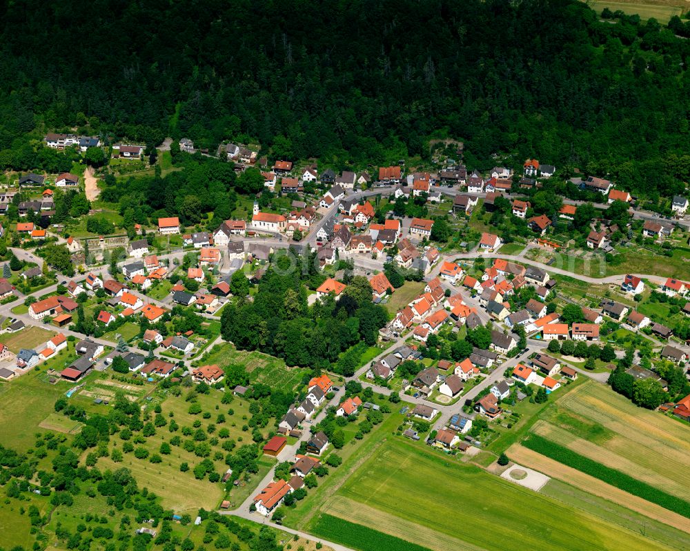 Aerial photograph Starzach - Village - view on the edge of forested areas in Starzach in the state Baden-Wuerttemberg, Germany