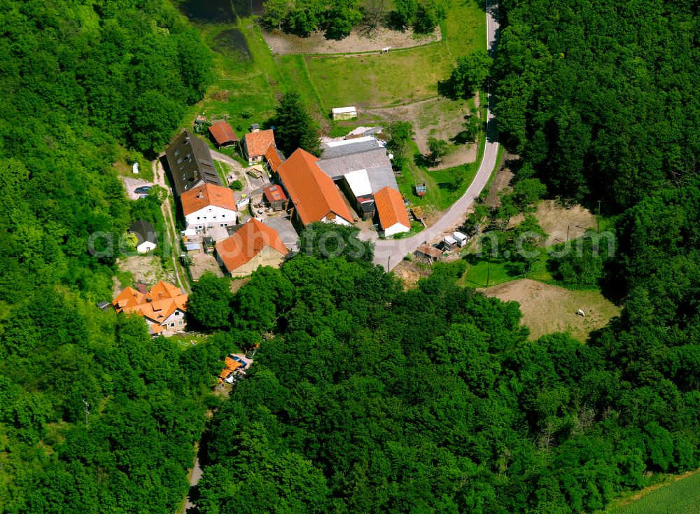 Stolzenbergerhof from above - Village - view on the edge of forested areas in Stolzenbergerhof in the state Rhineland-Palatinate, Germany