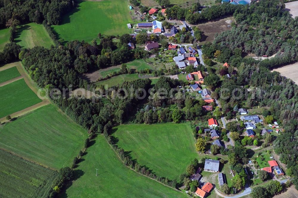 Aerial photograph Volkfien - Village - view on the edge of forested areas in Volkfien in the state Lower Saxony, Germany