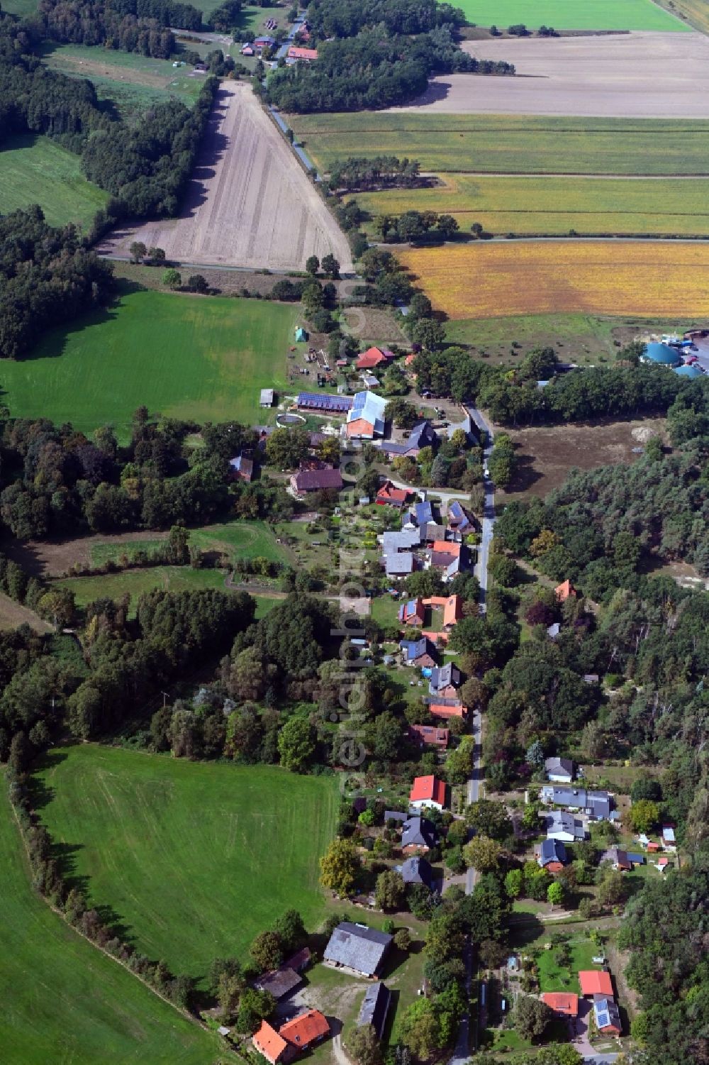 Volkfien from above - Village - view on the edge of forested areas in Volkfien in the state Lower Saxony, Germany